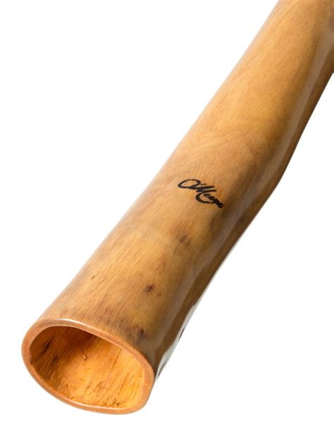 authentic didgeridoo